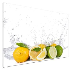 Panel do kuchyně Citrusy a voda pksh-81760914