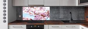 Dekorační panel sklo Květy višně pksh-82072016
