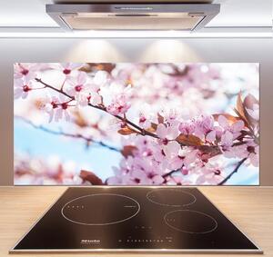 Dekorační panel sklo Květy višně pksh-82072016