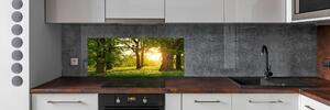 Panel do kuchyně Stromy v parku pksh-82116475