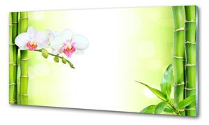 Panel do kuchyně Orchidej a bambus pksh-82165838