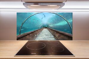 Panel do kuchyně Tunel akvárium pksh-82197217
