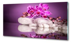 Panel do kuchyně Růžová orchidej pksh-82457632