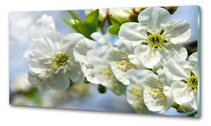 Dekorační panel sklo Květ višně pksh-82566454