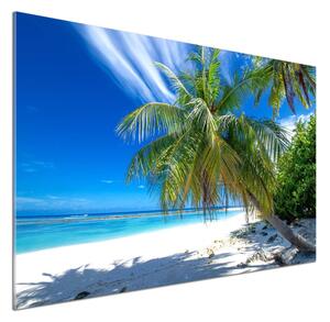 Panel do kuchyně Tropická pláž pksh-82585815