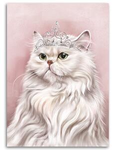 Obraz na plátně Bílá královská kočka Rozměry: 40 x 60 cm