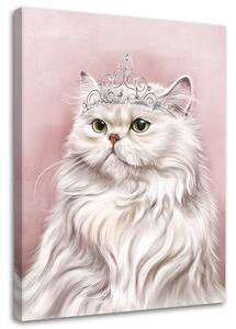 Obraz na plátně Bílá královská kočka Rozměry: 40 x 60 cm