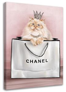 Obraz na plátně Kočka v tašce Chanel Rozměry: 40 x 60 cm