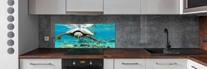 Dekorační panel sklo Mořská želva pksh-83762438