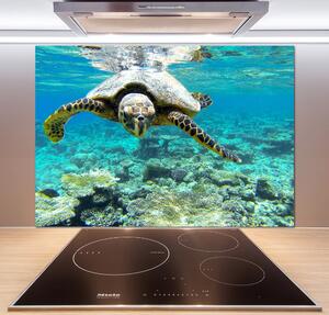 Dekorační panel sklo Mořská želva pksh-83762438