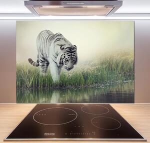 Dekorační panel sklo Bílý tygr pksh-84071201