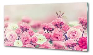 Panel lacobel Květy divoké růže pksh-84071229