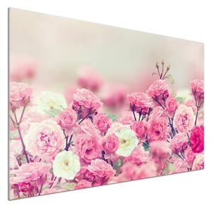 Panel lacobel Květy divoké růže pksh-84071229