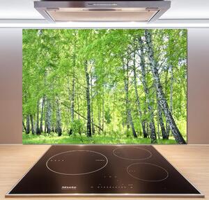 Dekorační panel sklo Břízový les pksh-84161730