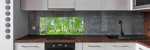 Skleněný panel do kuchyně Břízy pksh-84161268
