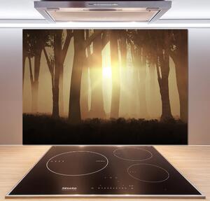 Dekorační panel sklo Mlha v lese pksh-84176608