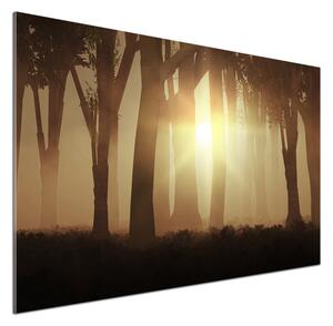 Dekorační panel sklo Mlha v lese pksh-84176608