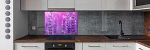 Skleněný panel do kuchyně Levandule pksh-84232090