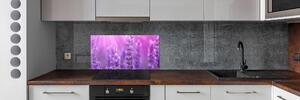 Skleněný panel do kuchyně Levandule pksh-84232090