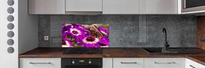 Panel do kuchyně Motýl na květině pksh-84885251