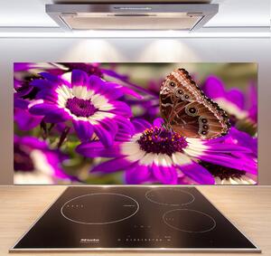 Panel do kuchyně Motýl na květině pksh-84885251