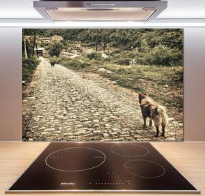 Panel do kuchyně Dva psi na kopci pksh-84885891
