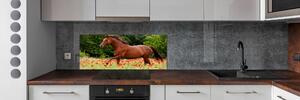 Panel do kuchyně Kůň na poli máků pksh-85278470