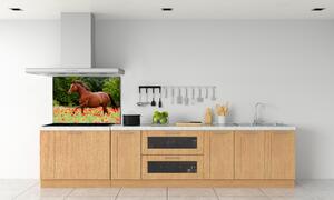 Panel do kuchyně Kůň na poli máků pksh-85278470