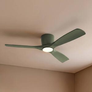 Lucande Smart LED stropní ventilátor Moneno, zelený, DC, Tuya, stmívatelný, Zelená, Obývací pokoj / jídelna, kov, Moderní