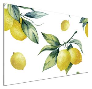 Skleněný panel do kuchyně Citrony pksh-85316646