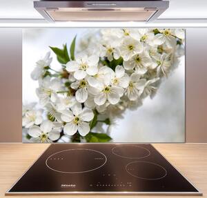 Dekorační panel sklo Květy višně pksh-85335086