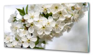 Dekorační panel sklo Květy višně pksh-85335086