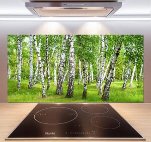 Dekorační panel sklo Břízový les pksh-85613602