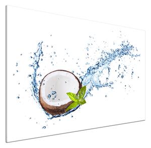Dekorační panel sklo Kokos a voda pksh-85744184