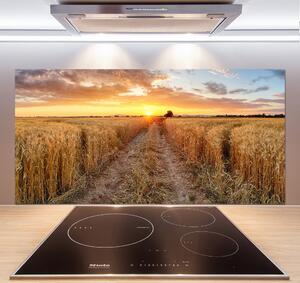 Panel do kuchyně Pole pšenice pksh-86490095