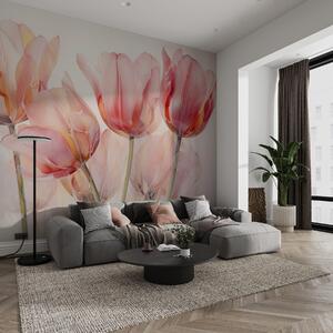 Fototapeta Skupina růžových tulipánů, Květinové fototapety, Populární fototapety, w02499 - Tapeko.co.cz