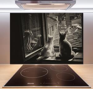 Panel do kuchyně Kočky při okně pksh-86646592