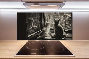 Panel do kuchyně Kočky při okně pksh-86646592