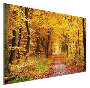 Dekorační panel sklo Podzimní les pksh-86844242