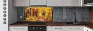 Dekorační panel sklo Podzimní les pksh-86844242