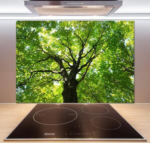 Dekorační panel sklo Zelený les pksh-86959394