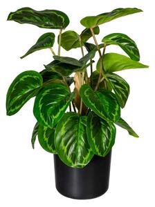 Maranta 24 listů, 45cm (umělá rostlina)