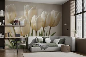 Fototapeta Skupina bílých tulipánů, Květinové fototapety, Populární fototapety, w02616 - Tapeko.co.cz