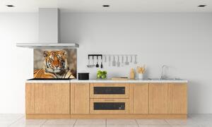 Panel do kuchyně Bengálský tygr pksh-88747131