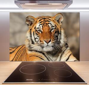 Panel do kuchyně Bengálský tygr pksh-88747131