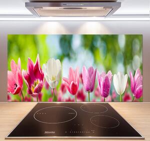 Skleněný panel do kuchynské linky Tulipány pksh-88763928
