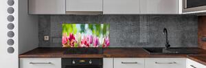 Skleněný panel do kuchynské linky Tulipány pksh-88763928