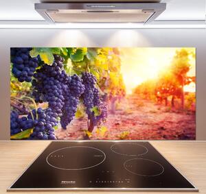 Skleněný panel do kuchynské linky Hrozny a víno pksh-89292664