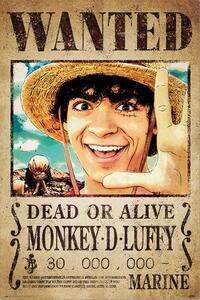 Plakát, Obraz - One Piece - Wanted Monkey D. Luffy