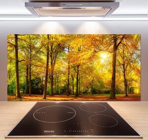 Dekorační panel sklo Podzimní les pksh-89529230